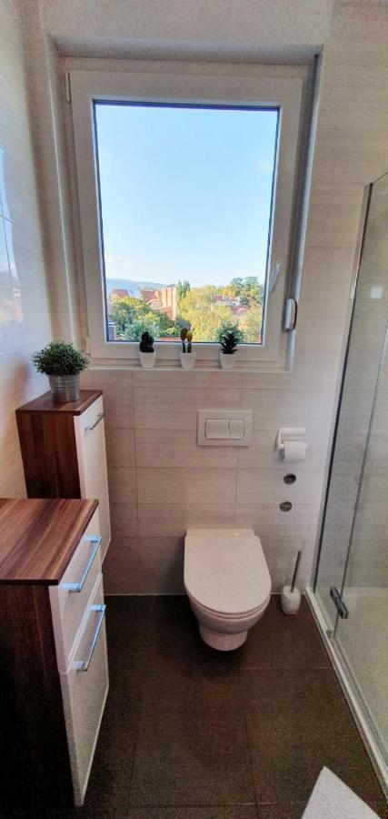 Bellevue Apartment Ζάγκρεμπ Εξωτερικό φωτογραφία